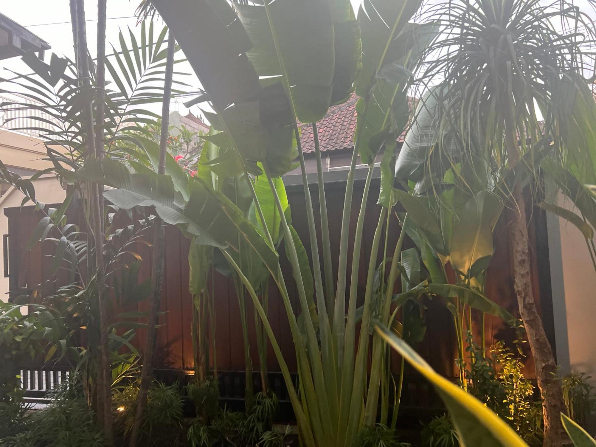 Villa Makmur Kerobokan  Exterior photo